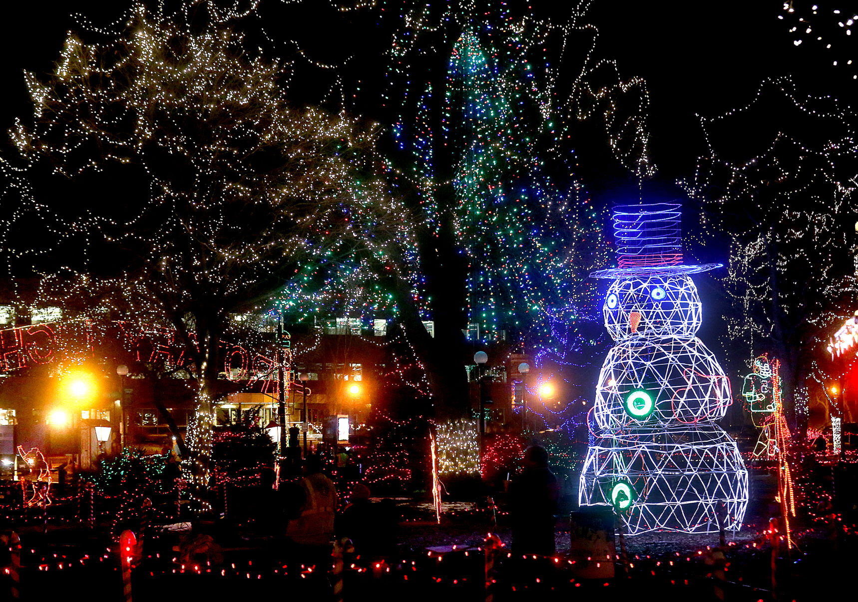 2019 Rotary Lights display in Riverside Park